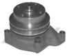 MASSEY FER 41312459 Water Pump